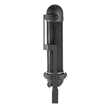 Amazon.com: AEA R88 MK2 Stereo Ribbon Microphone : Musical